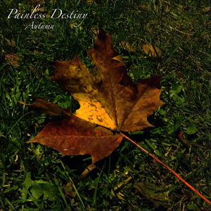 亚洲最大av网站
